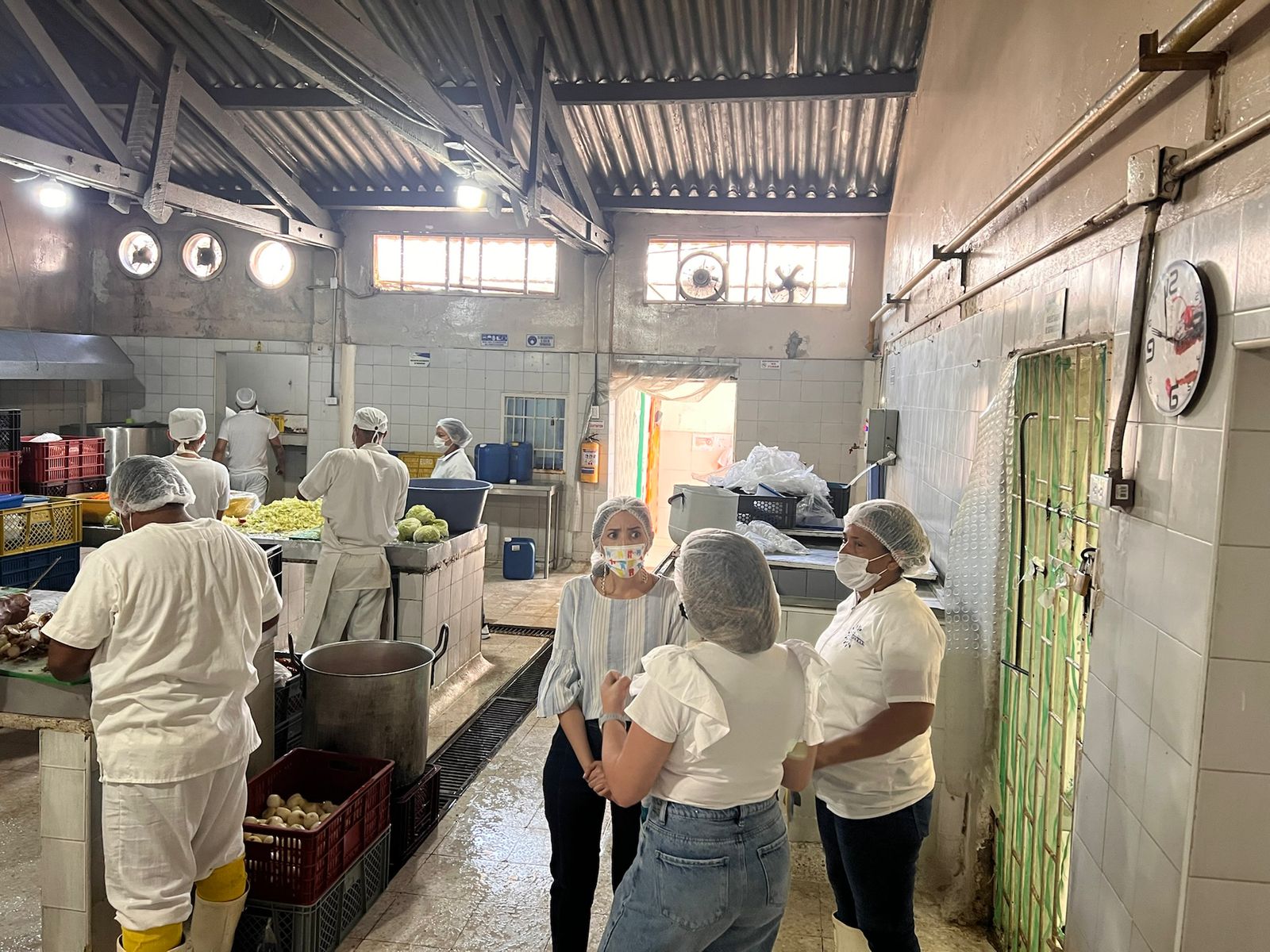 Fotografía: verificación alimentación