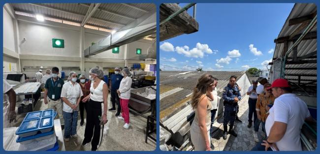 fotografías: Subdirectora de construcción y conservación con funcionarios INPEC en verificació en Palmira